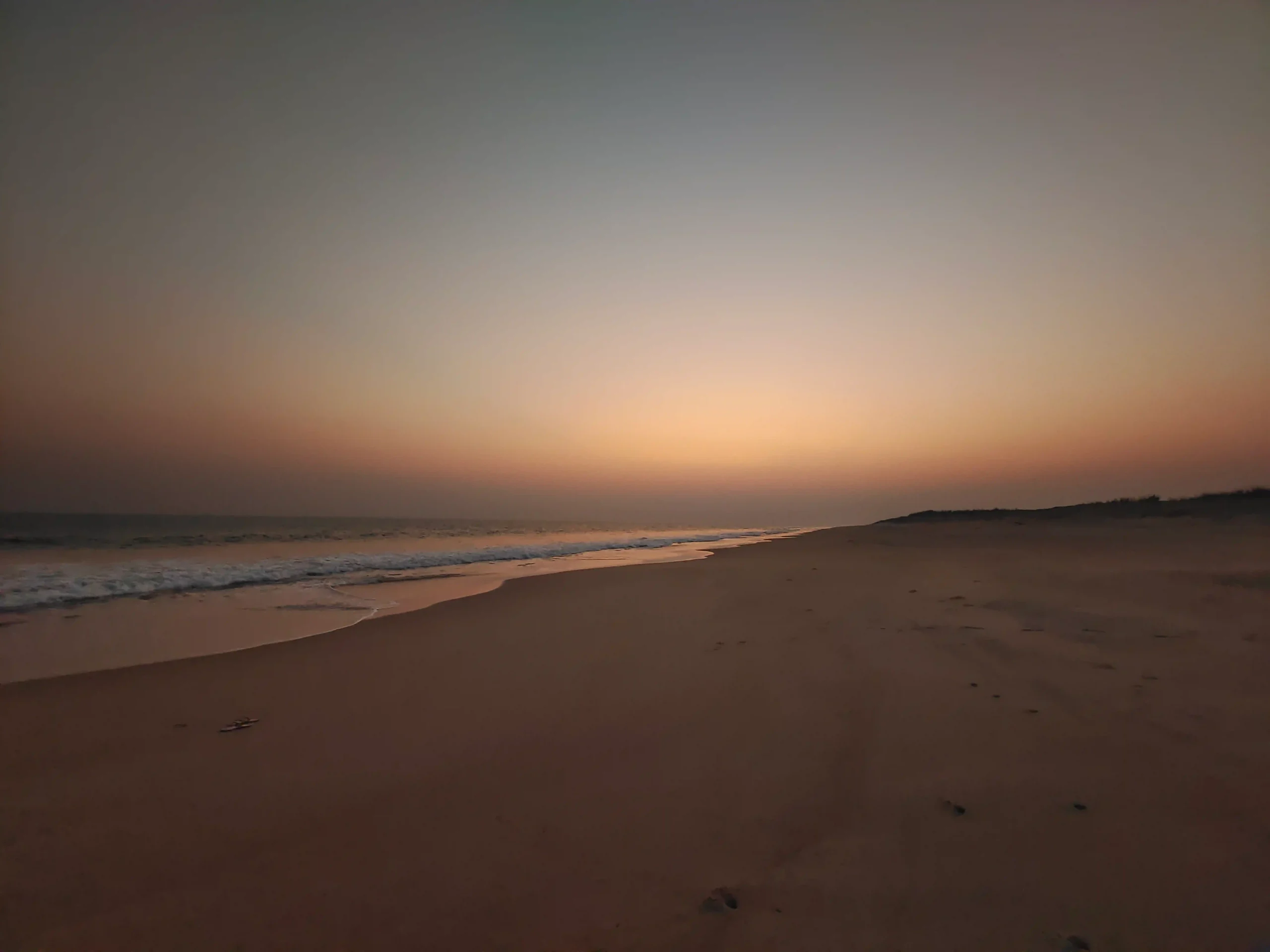 Pet Friendly Hotels in Konark (8)